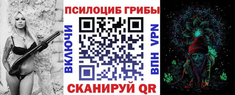 Купить закладки  Пестово  Галлюциногенные грибы Psilocybe 