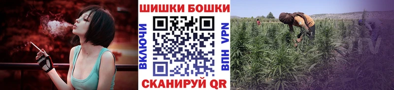 Купить закладки  Пестово  Каннабис Amnesia 